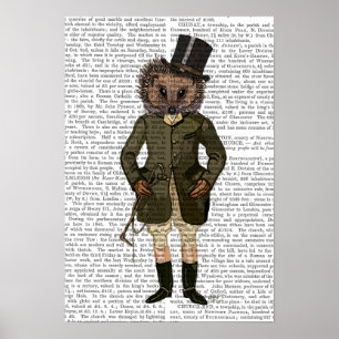 Hedgehog Rider Fullt Poster