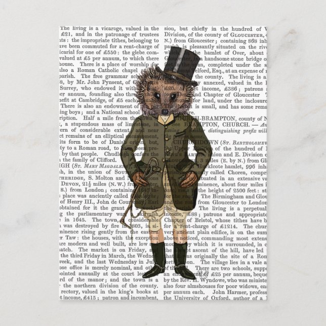 Hedgehog Rider Fullt Vykort (Framsida)