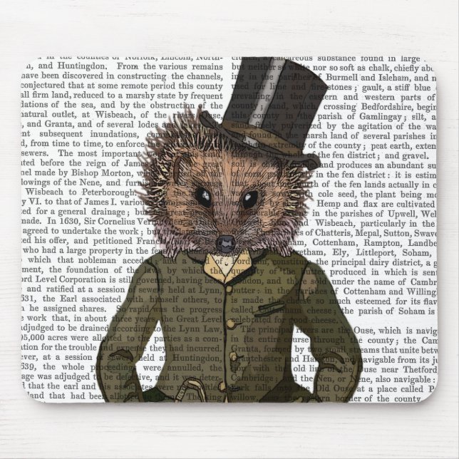 Hedgehog Rider Porträtt Musmatta (Framsidan)