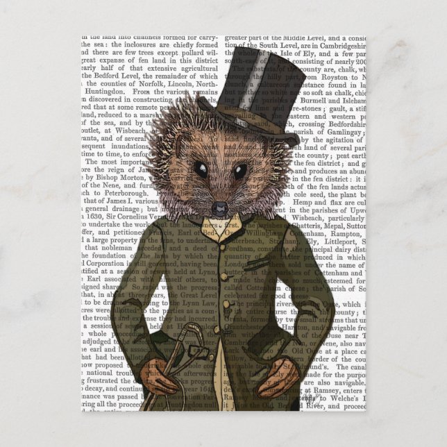 Hedgehog Rider Porträtt Vykort (Framsida)