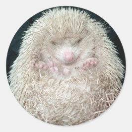 Hedgehog Runt Klistermärke
