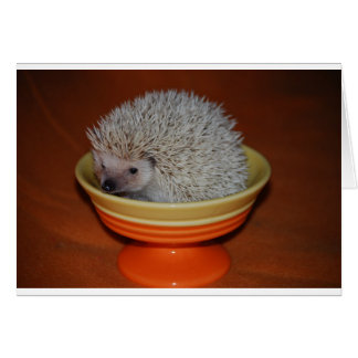 Hedgehog Sundae Hälsningskort
