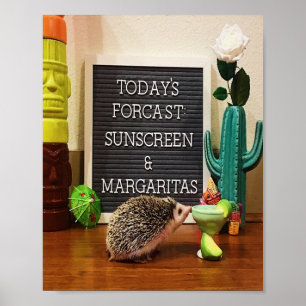 Hedgehog Sunscreen och Margaritas Poster