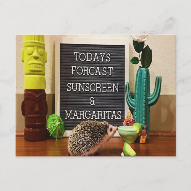 Hedgehog Sunscreen och Margaritas Vykort (Framsida)