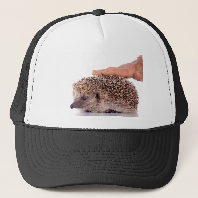 Hedgehog, Truckerkeps (Framsida)