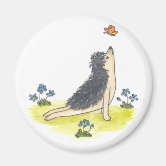 Hedgehog uppåtvänd Hund Magnet