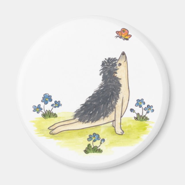 Hedgehog uppåtvänd Hund Magnet (Framsidan)