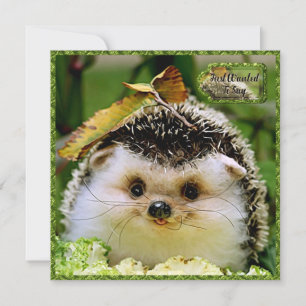 Hedgehog Vänskap Card Tack Kort