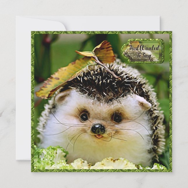 Hedgehog Vänskap Card Tack Kort (Framsida)