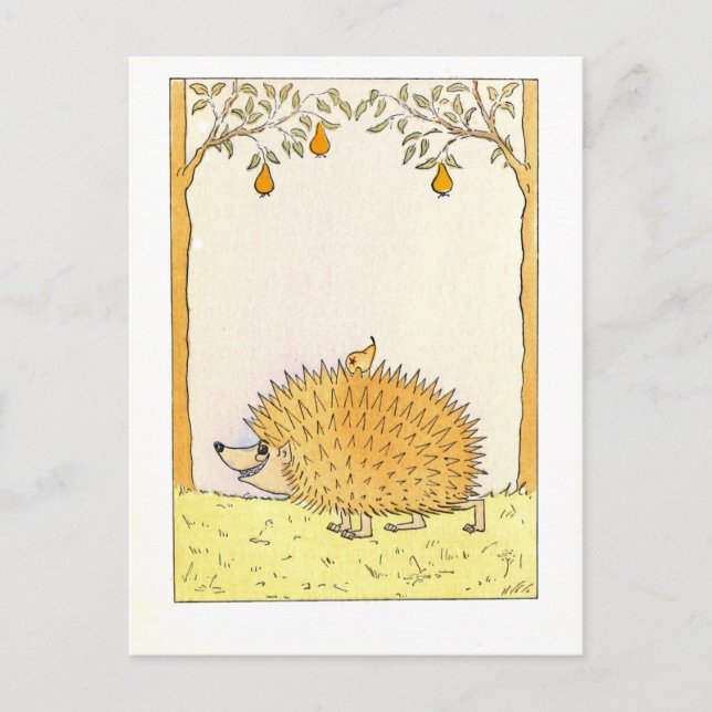 "Hedgehog - Vintage Illustration Vykort (Framsida)