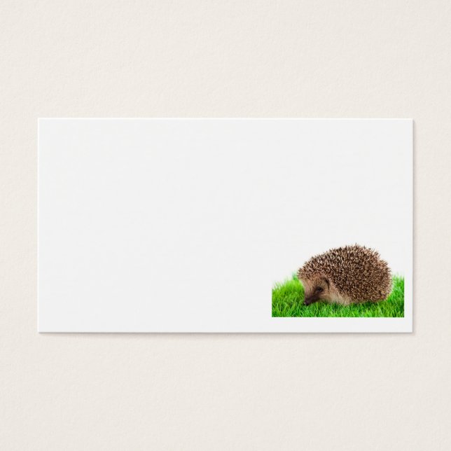 hedgehog visitkort (Framsidan)