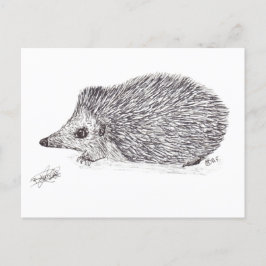 HEDGEHOG VYKORT