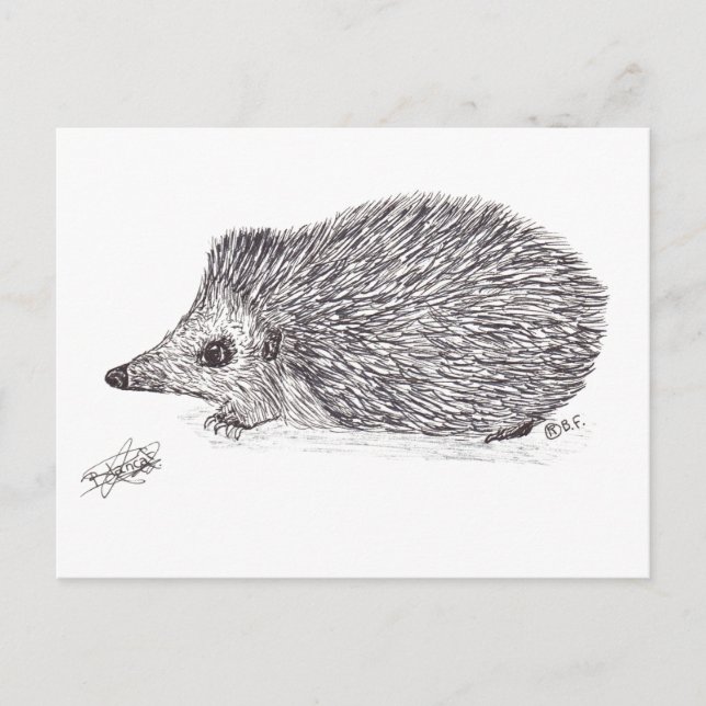 HEDGEHOG VYKORT (Framsida)