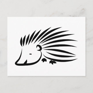 Hedgehog Vykort