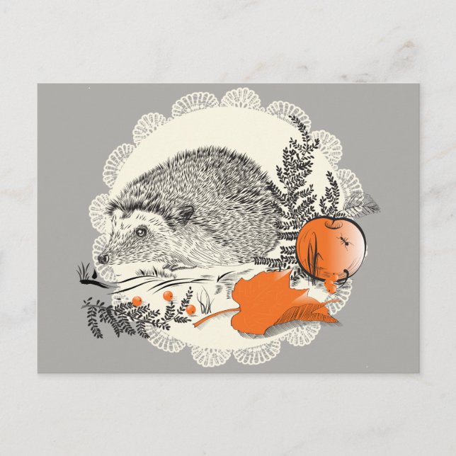 Hedgehog Vykort (Framsida)