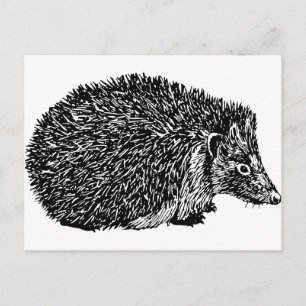 Hedgehog Vykort