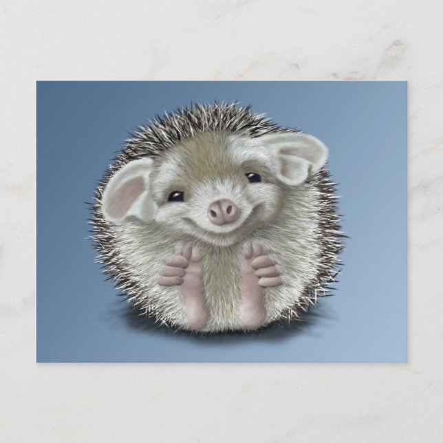 Hedgehog Vykort (Framsida)