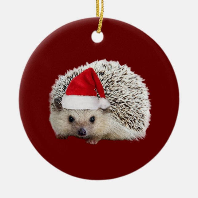 Hedgehog with Hat Scaft jul Julgransprydnad Keramik (Framsidan)