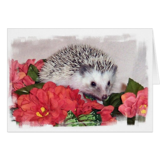 Hedgehog with Orange Flowers Hälsningskort (Framsidan Horizontal)