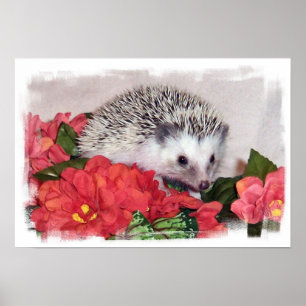 Hedgehog with Orange Flowers Poster