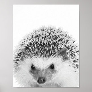 Hedgehog Woodland Kids Room Decor Poster