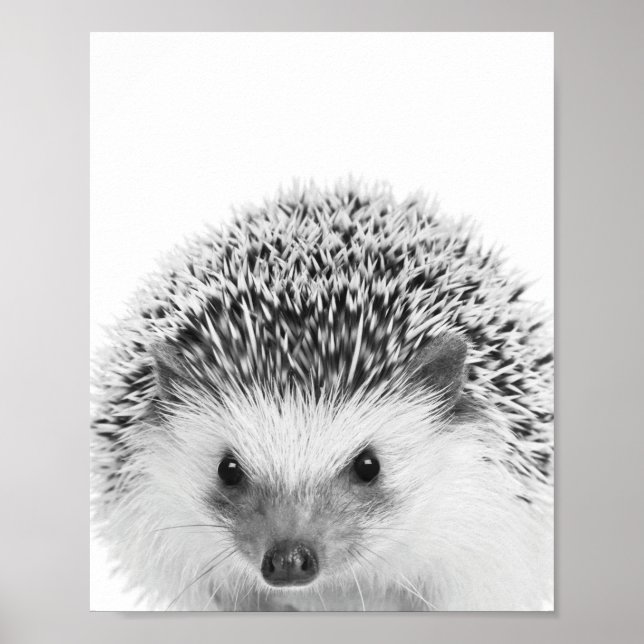 Hedgehog Woodland Kids Room Decor Poster (Framsidan)