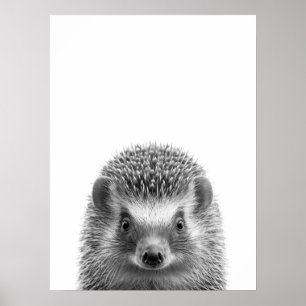 Hedgehog Woodland Modern Porträtt svart vit Poster