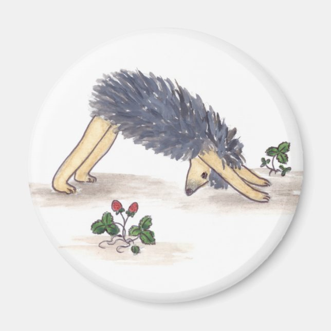 Hedgehog Yoga Magnet (Framsidan)