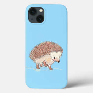 Hedgehogs Big Äventyr