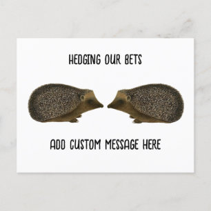 Hedgehogs gifta sig - Funny Hedgehog bröllop Vykort