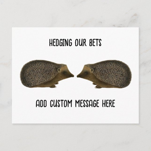 Hedgehogs gifta sig - Funny Hedgehog bröllop Vykort (Framsida)