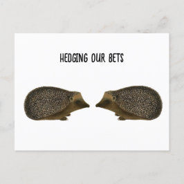 Hedgehogs gifta sig - Funny Hedgehog bröllop Vykort