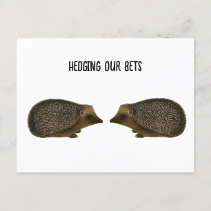 Hedgehogs gifta sig - Funny Hedgehog bröllop Vykort