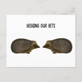 Hedgehogs gifta sig - Funny Hedgehog bröllop Vykort