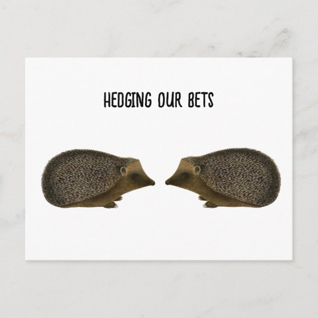 Hedgehogs gifta sig - Funny Hedgehog bröllop Vykort (Framsida)