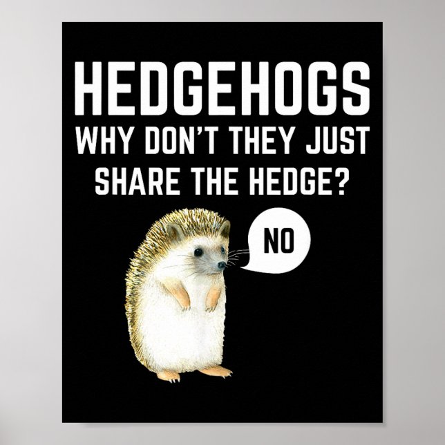 Hedgehogs Why Don't They Just Share The Hedge Funn Poster (Framsidan)