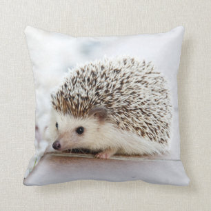 Hedgehop Kudde
