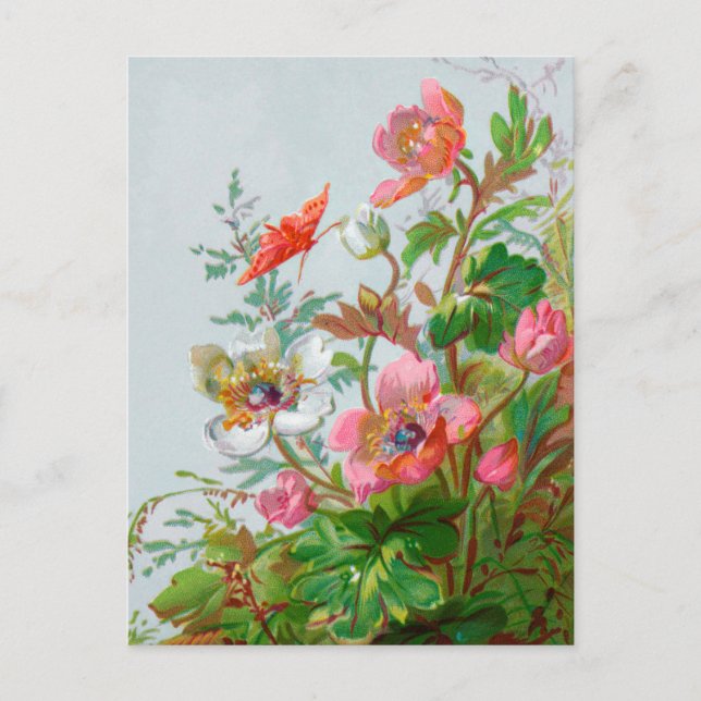 Hedgerow Garden Postcard Vykort (Framsida)