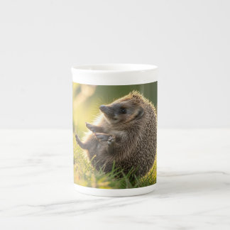 Hedghog Mugg Benporslin Mugg