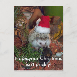 Hedgie igelkotten önskar dig god jul helg vykort