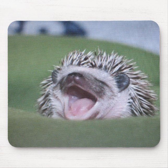 hedgy musmatta (Framsidan)