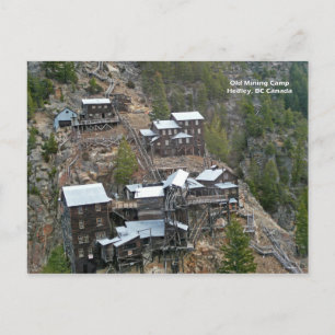 Hedley Mining Camp Postcard Vykort