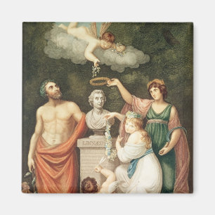 Hedra bysten av Linnaeus Magnet