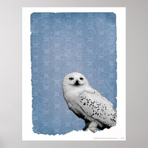 Hedvig 2 poster