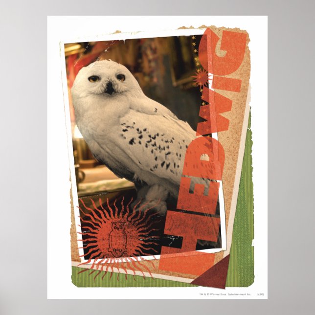 Hedwig 1 poster (Framsidan)