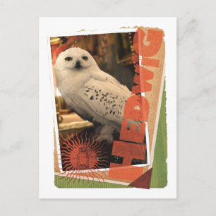 Hedwig 1 vykort