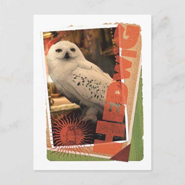 Hedwig 1 vykort (Framsida)