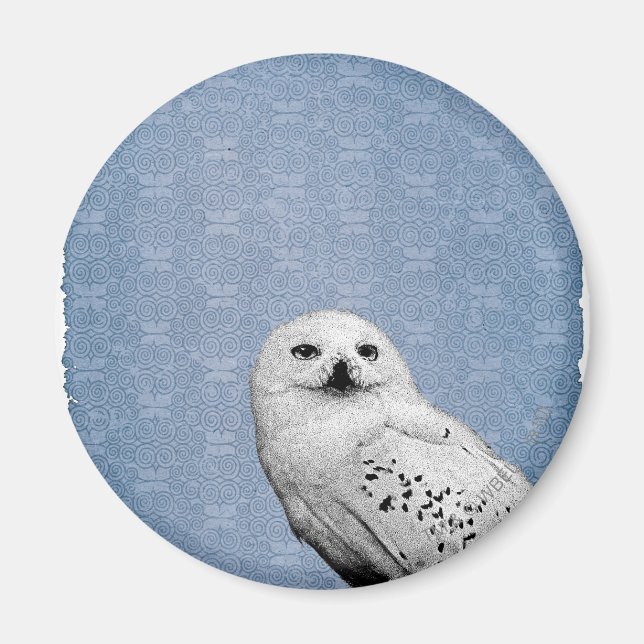 Hedwig 2 magnet (Framsidan)