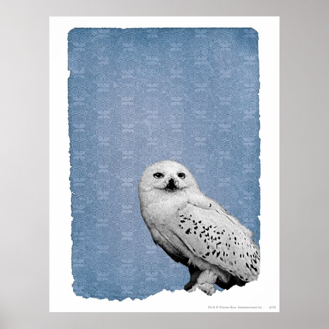Hedwig 2 poster (Framsidan)