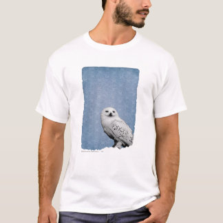 Hedwig 2 tröja